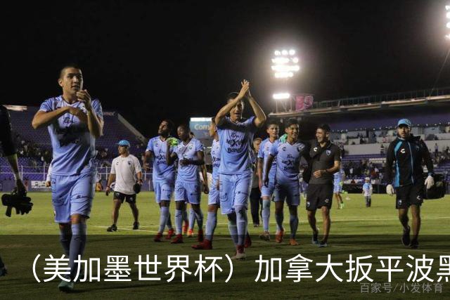 （美加墨世界杯）加拿大扳平波黑 获队史世界杯首分